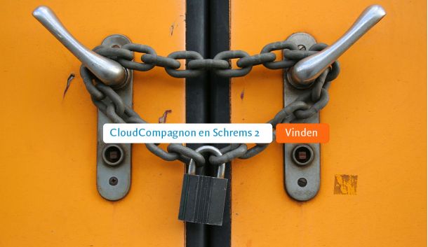 privacy in de cloud