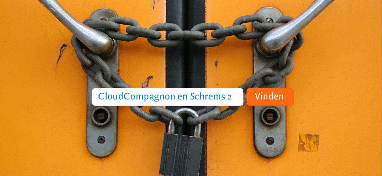 privacy in de cloud